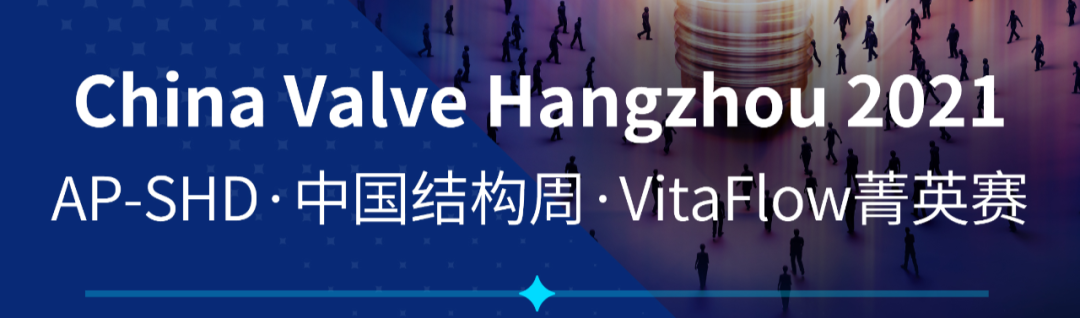 CHINA VALVE(HANGZHOU)2021|“烟花”待放，风雨同舟——VitaFlow菁英赛“瓣你先飞”战队组内冠军诞生