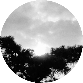 鸟看世界