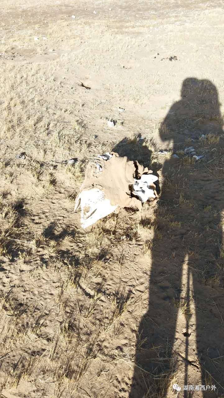 【国庆】六刀之昆仑山死亡谷探险活动!