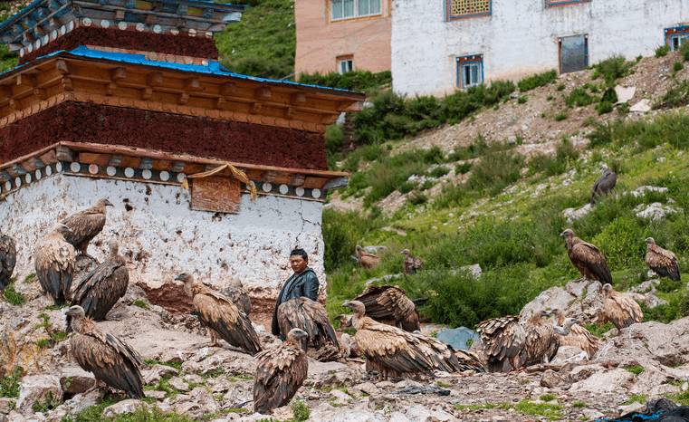 寄蜉蝣于天地:藏族人为什么要天葬?