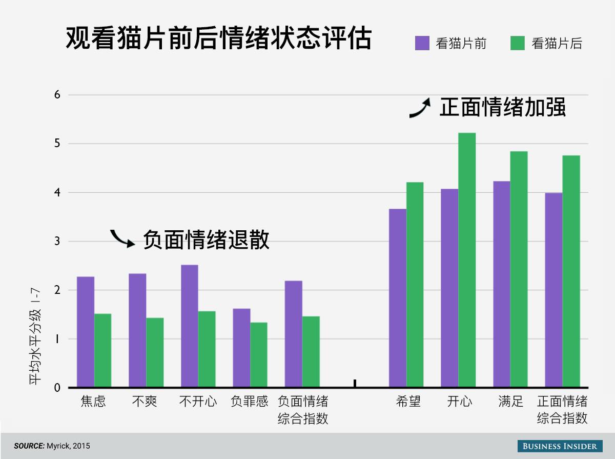 致富经养狗_致富经养狗视频2018_养宠物狗致富