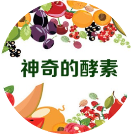 美丽酵素