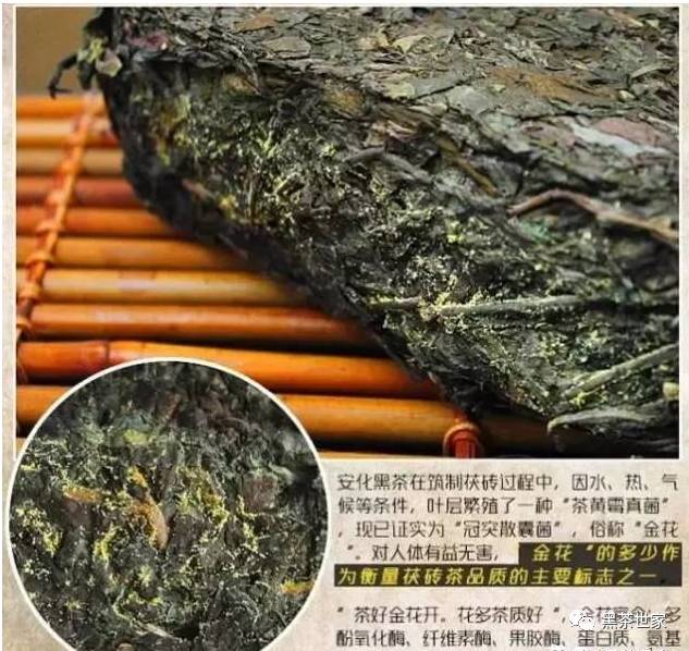 能给皇帝喝的黑茶，那证明黑茶必是最好的！