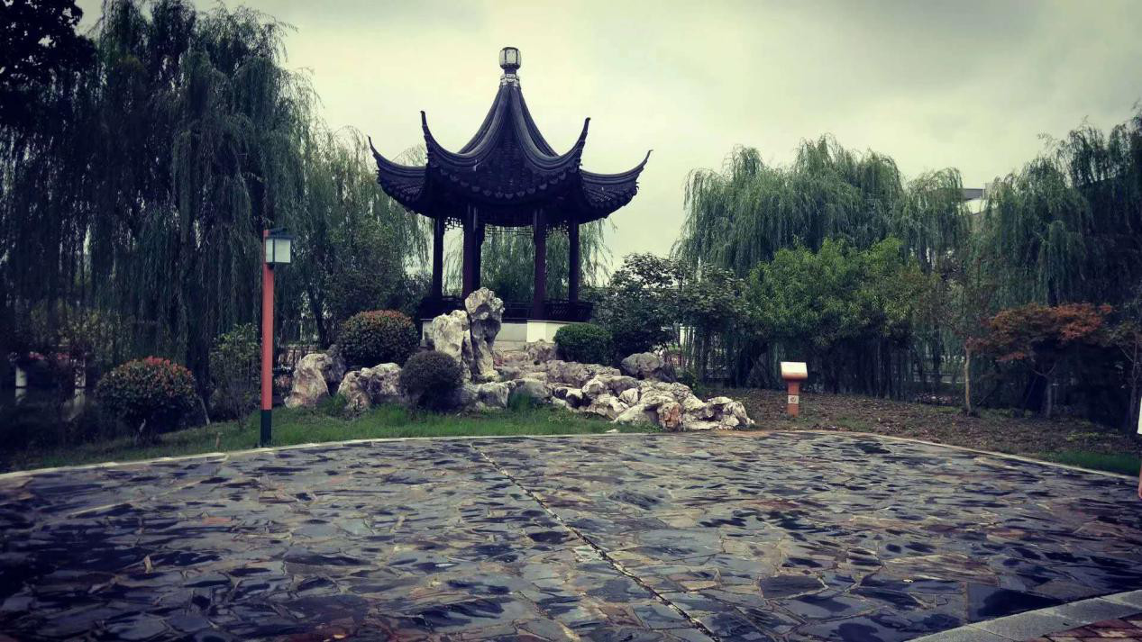 心语:​王子璇 ,我与苏幼有个约定