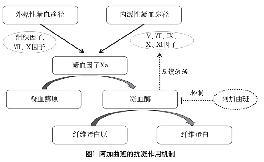 专家共识阿加曲班治疗急性缺血性卒中中国专家共识