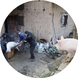 李俊的粉丝有点少