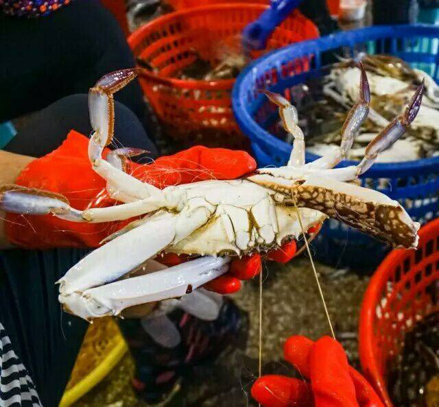 【苏州螃蟹批发价格联盟】东海结束禁渔期,又可以吃的