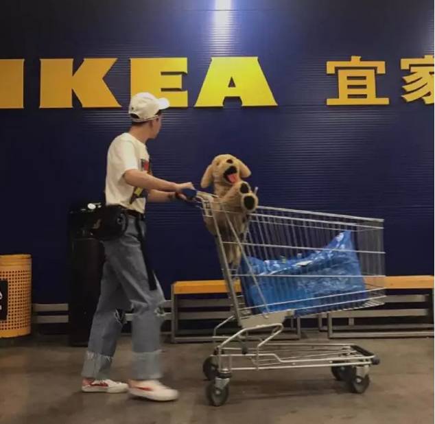 回力鞋后面logo是怎么_回力warrior和回力区别_回力logo