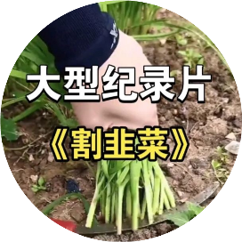 韭菜保命指南