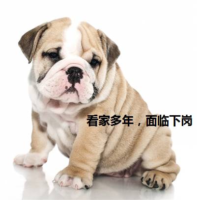 步阳防盗入户门_步阳防盗门怎么样_防盗门步阳价格及图片