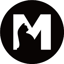 Memm设计知识分享