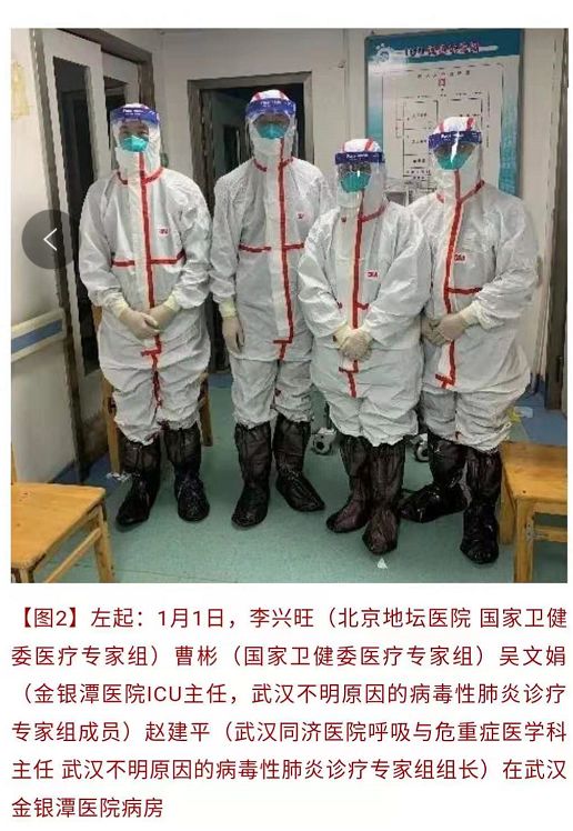 武汉大瘟疫，国字头专家们贡献了什么？