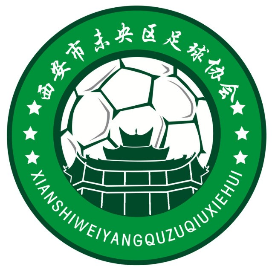 西安市未央区足球协会