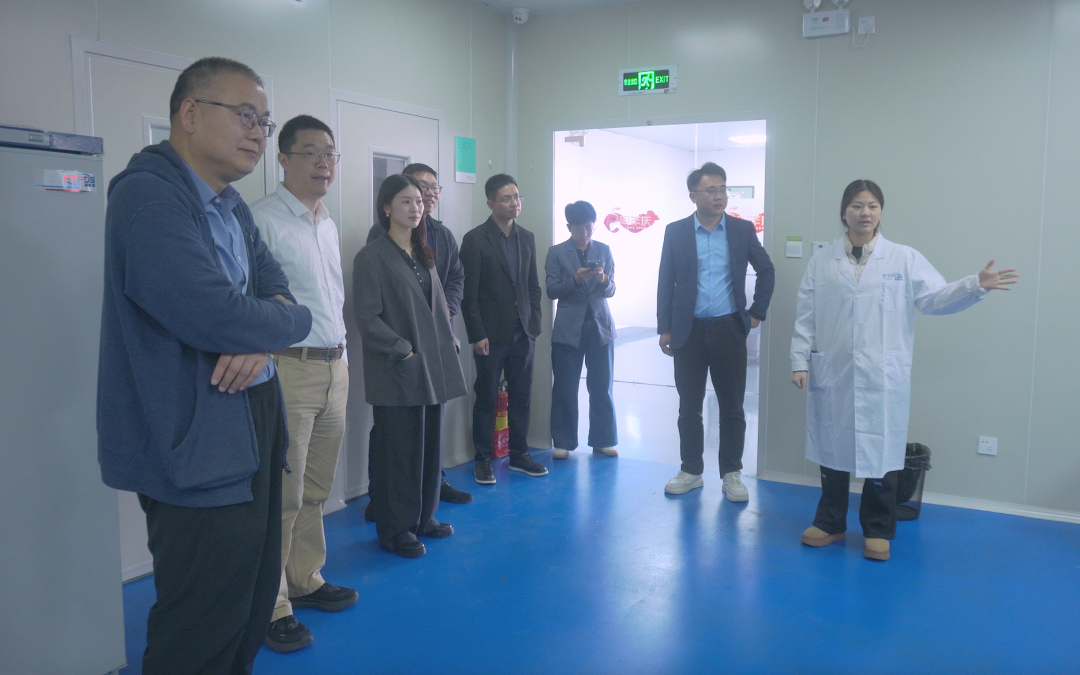 小蝌蚪视频色版5周年开放日活动圆满结束