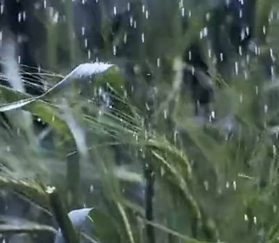 久石让《雨》带你走进浪漫雨夜!