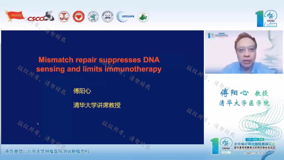 清华大学医学院傅阳心教授聚焦错配修复机制,关注在dmmr人群中免疫