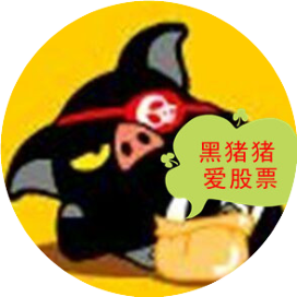 黑猪猪爱股票