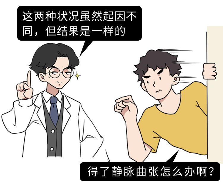 诱发静脉曲张导致血液回流使得精索静脉受到压迫以及异位血管压迫等