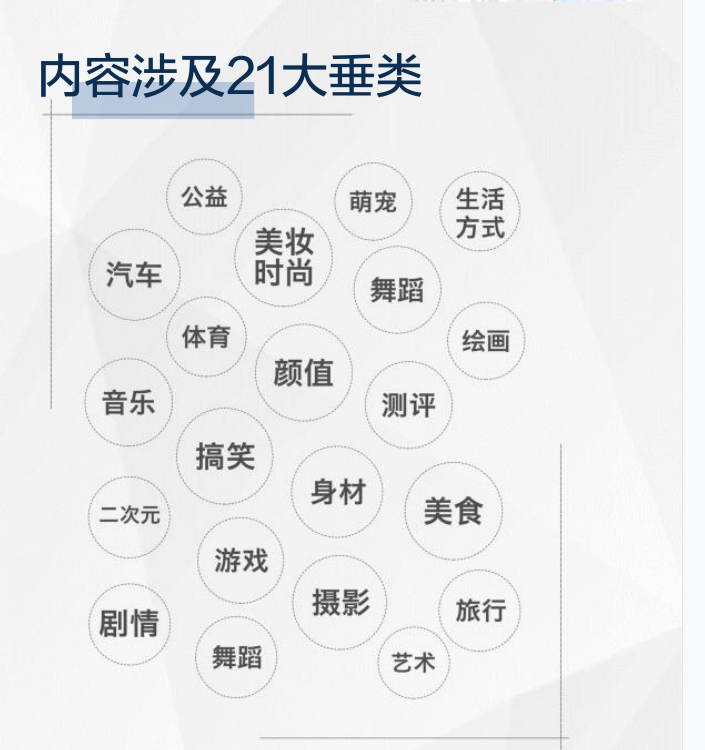 云向MCN