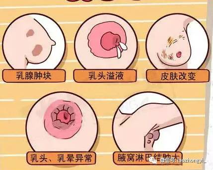 乳房竞然能看出这么多学问