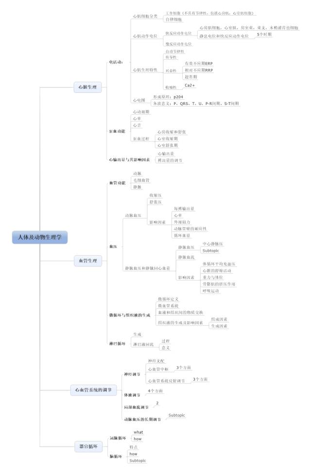 思维导图软件介绍及其使用举例