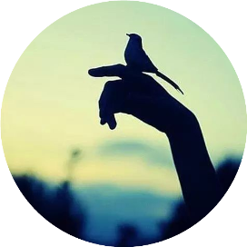 历代因果故事录