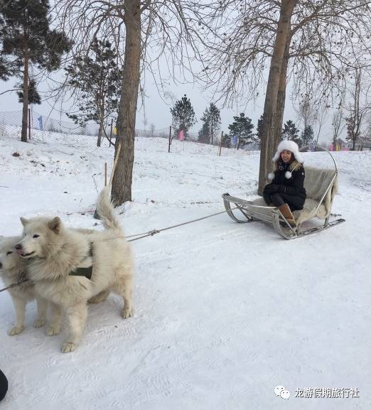 龙游假期=【艾斯沃德冰雪欢乐岛特价优惠篇】