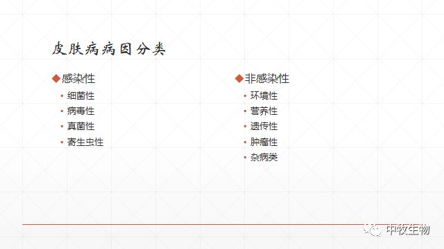 猪常见皮肤病防治方法
