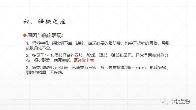 猪常见皮肤病防治方法