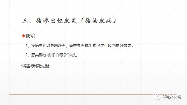 猪常见皮肤病防治方法