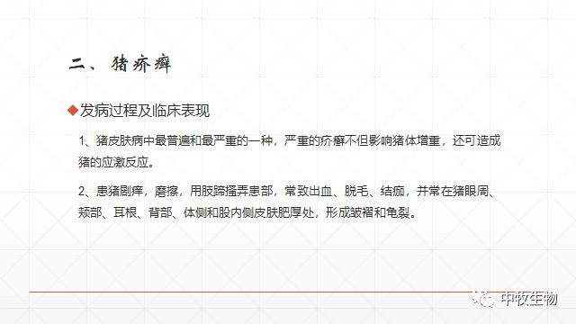 猪常见皮肤病防治方法