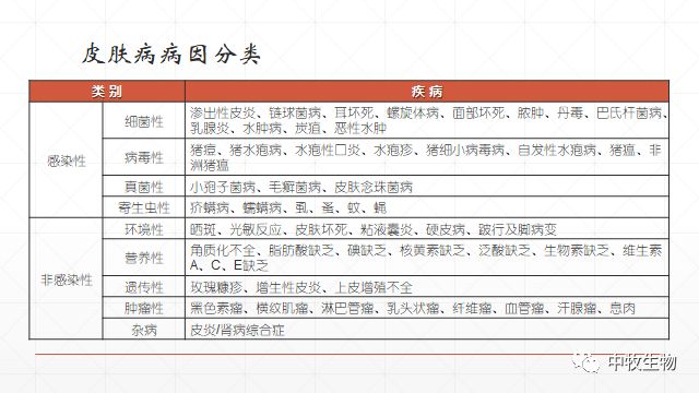 猪常见皮肤病防治方法