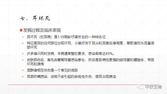 猪常见皮肤病防治方法