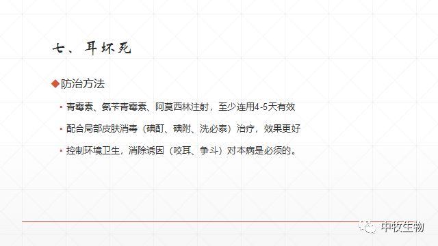 猪常见皮肤病防治方法