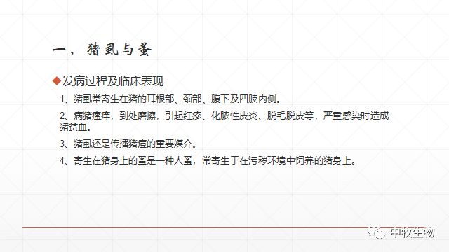 猪常见皮肤病防治方法