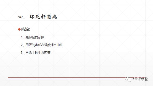 猪常见皮肤病防治方法