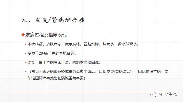 猪常见皮肤病防治方法