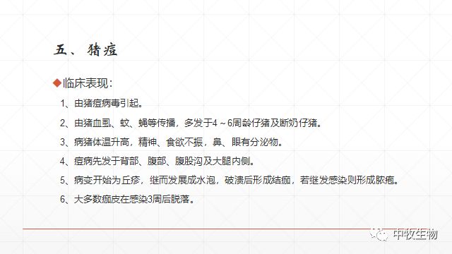 猪常见皮肤病防治方法