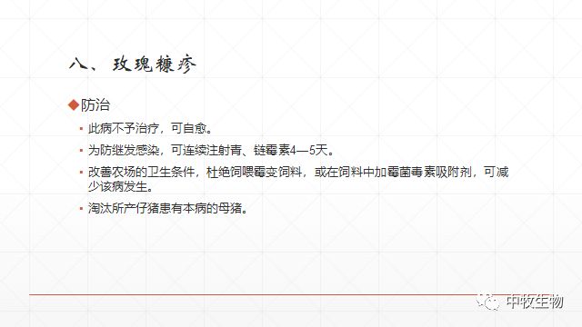 猪常见皮肤病防治方法