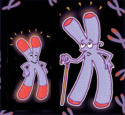 ���ޡ��������ϡ�ҩNMN�����������١���˥�������䡢�ΰ�֢��