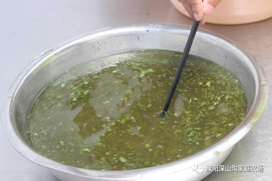 饿刑 5月20、21日探寻乌米饭的秘密-深山沟家庭农场乌米饭专场