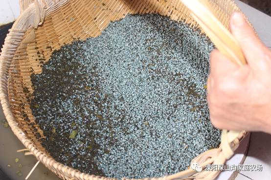 饿木饿火命_我是饿一饿_饿刑