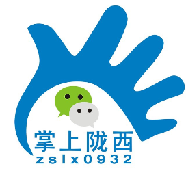 掌上陇西网络公司