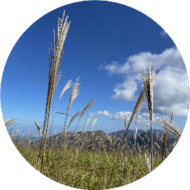 向阳而生 向上而行