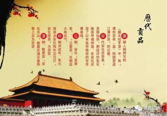 十论安化黑茶，让你明明白白做安化黑茶