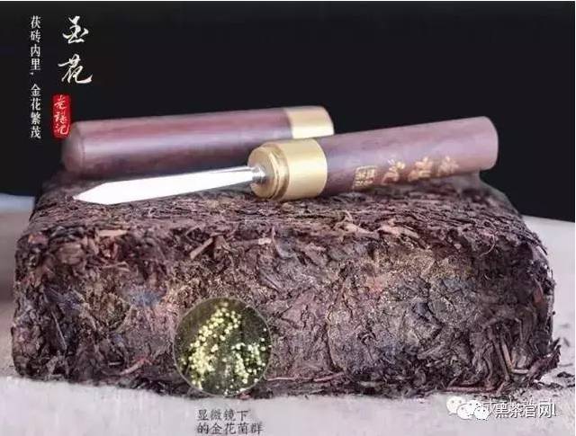 黑茶为什么见效慢，或者是所谓的没效果！