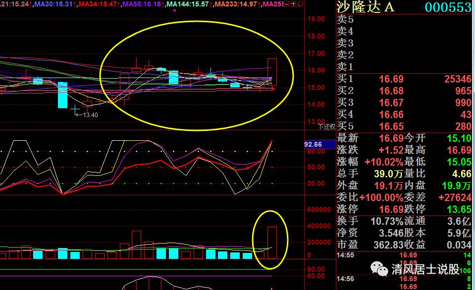 个股点评0036:000553 沙隆达a