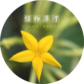 植物草子