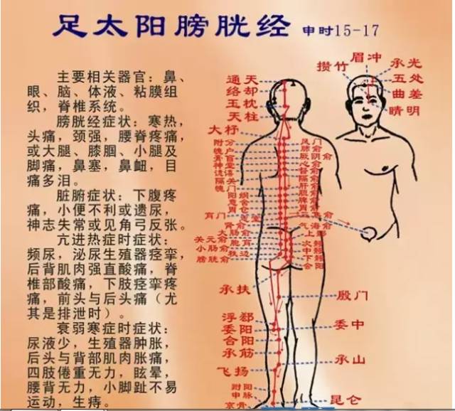 把它练好了,全身跟着好,50岁后