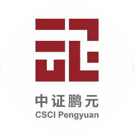 中证鹏元评级